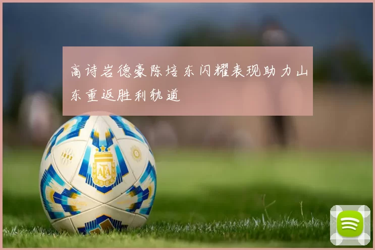 高诗岩德豪陈培东闪耀表现助力山东重返胜利轨道