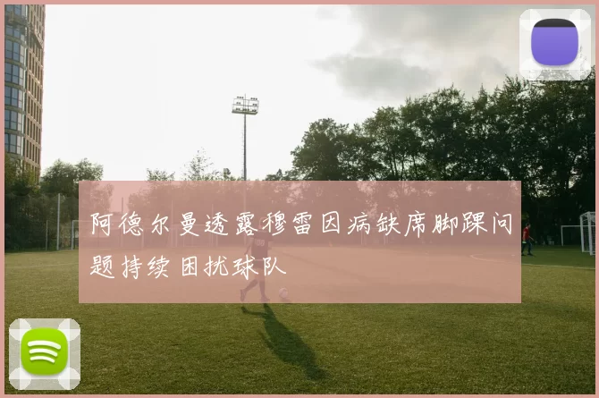 阿德尔曼透露穆雷因病缺席脚踝问题持续困扰球队